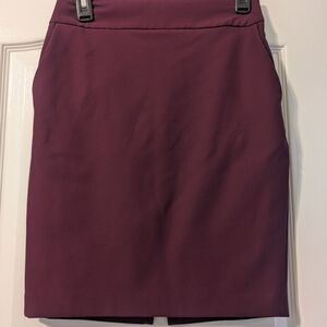 Elegant Purple Women's Skirt